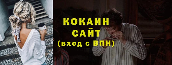 стаф Вязьма