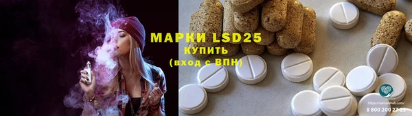 стаф Вязьма