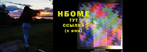 стаф Вязьма