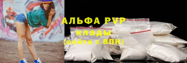 стаф Вязьма