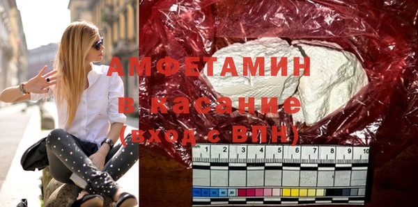 стаф Вязьма