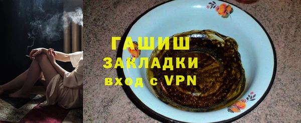 стаф Вязьма