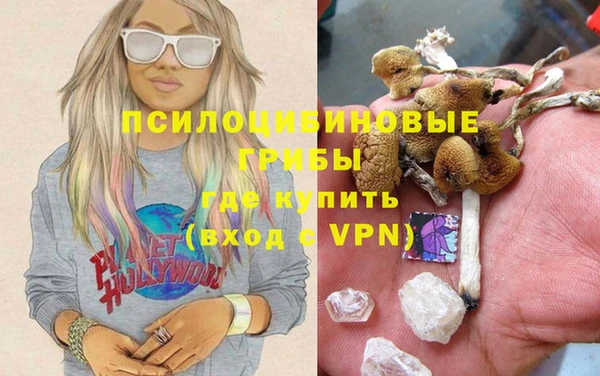 стаф Вязьма